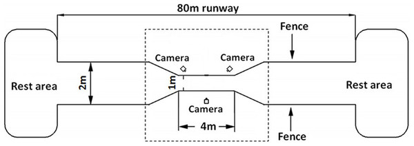 Schematic diagram of the experimental site of 80 m long.