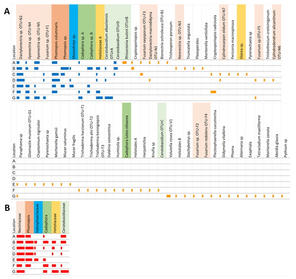 Abundance of the 12 common (blue bars) and 49 rare (orange bars) OTUs at each location.