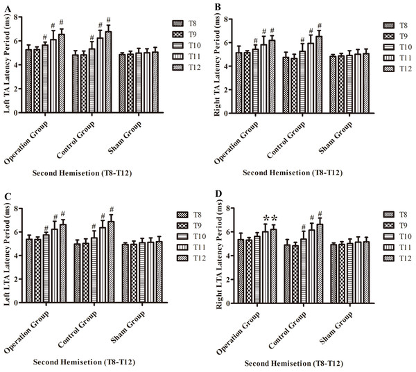 Electrophysiological examinations (MEP, latency periods) of the T8–T12 sub-groups at the body surface in part 2 of this study after the second hemisection operation.