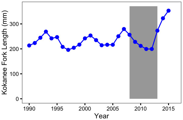 Kokanee spawner length by year.