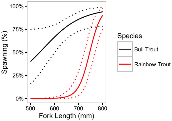 Estimated probability of spawning for Bull Trout and Rainbow Trout by fork length.