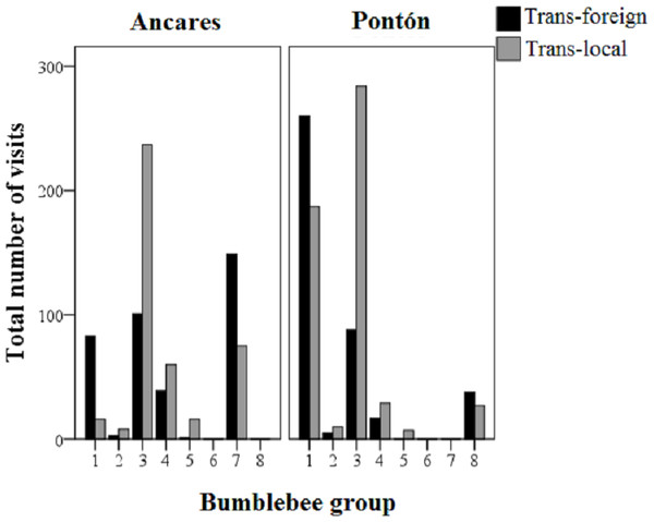 Total cumulative number of visits to the Gentiana lutea transplanted plants (black-colored bars, foreign; grey-colored bars, local) by each group of bumblebees in the two study sites at Northern Spain (Ancares with the orange morph and Pontón with the yellow morph).