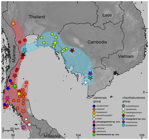 Distribution of the species of Cnemaspis in the chanthaburiensis and siamensis groups.