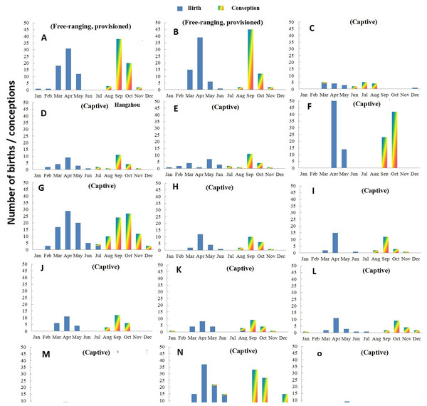 Distribution of births and conceptions in two free ranging groups (A–B) and 13 zoos/wildlife parks (C–O) in China.