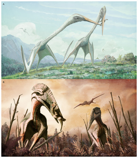 Diversity in predicted life appearance and ecologies for giant azhdarchid pterosaurs.