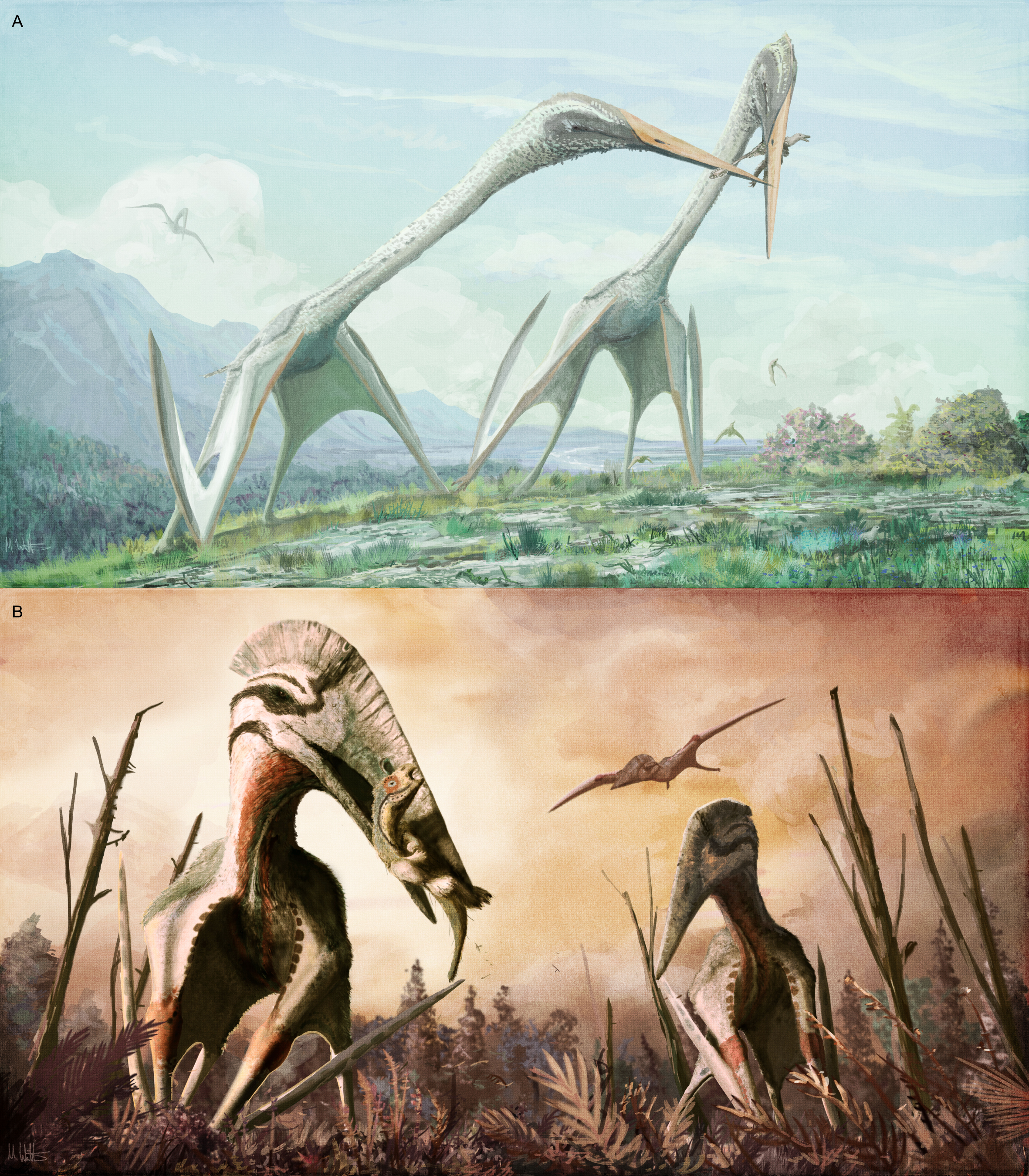 Mini pterosaur from the age of flying giants