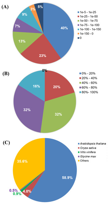 Transcriptome analysis of Polygonum minus reveals candidate genes ...