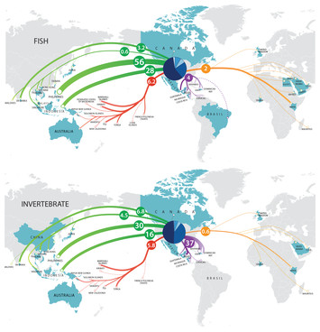 Expanding our understanding of the trade in marine aquarium animals [PeerJ]