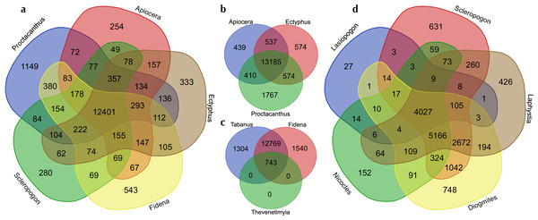 Venn diagrams showing the numbers of GO (Gene Ontology) terms among selected sets of taxa.