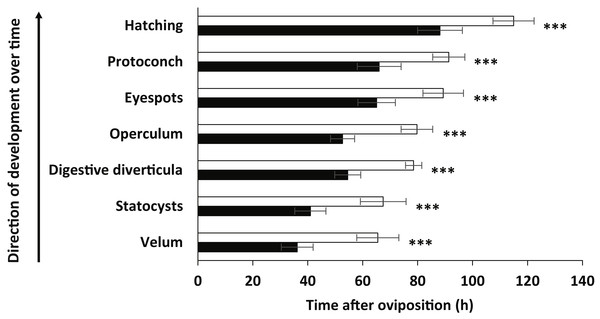 Key visible events of embryonic development of Stylocheilus striatus.