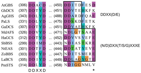 Multiple sequence alignment of sesquiterpene synthase metal binding conserved motifs for selected plant sesquiterpene synthases.