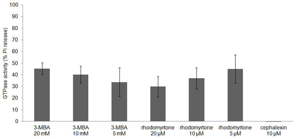 Effect of rhodomyrtone on the GTPase activity of purified FtsZ.