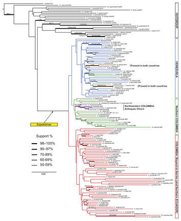 Geography shapes the phylogeny of frailejones (Espeletiinae Cuatrec ...