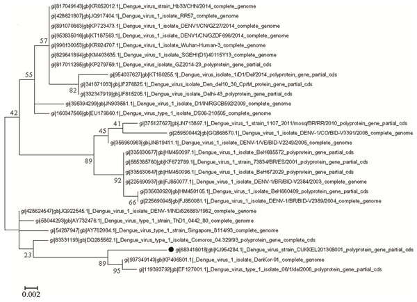 Molecular phylogenetic analysis of DENV 1 by Maximum Likelihood method, Tamura-Nei model.