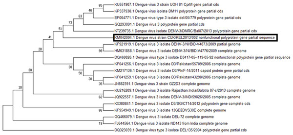 Molecular phylogenetic analysis of DENV 3 by Maximum Likelihood method, Tamura-Nei model.