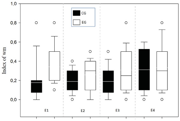 Index of working memory per sessions (E1–E4) comparing groups.