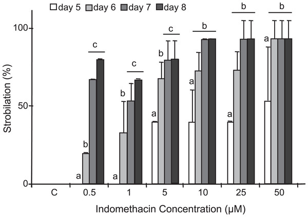 Induction of strobilation under increasing indomethacin concentrations.