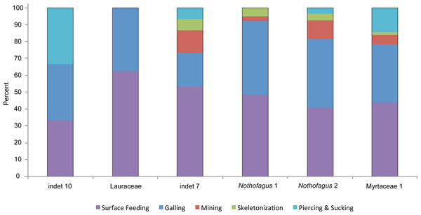 Distribution of functional feeding groups with a high amount of specialized damage types on the six most abundant leaf morphotypes from the Hindon Maar (Miocene, New Zealand).
