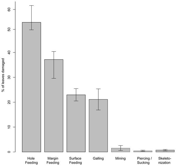 Percentage of each functional feeding group for the summarized Nothofagus data from the Hindon Maar (Miocene, New Zealand).