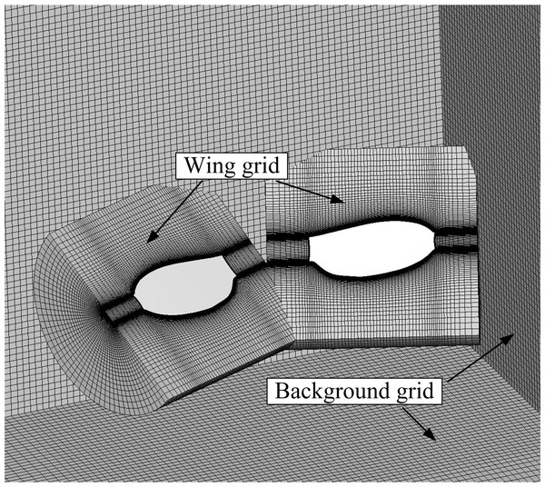 Model wings and portions of the computational overset grids.