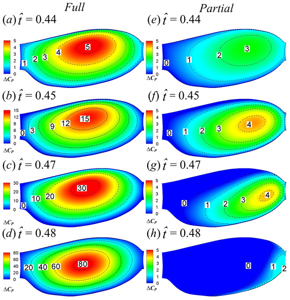 Lower-surface pressure differences between the two two-winged cases and the single-winged case at 
                        
                        $\hat {t}=0.44$
                        
                           
                              
                                 t
                              
                              
                                  ˆ
                              
                           
                           =
                           0
                           .
                           44
                        
                     , 0.45, 0.47 and 0.48 in the clap phase.