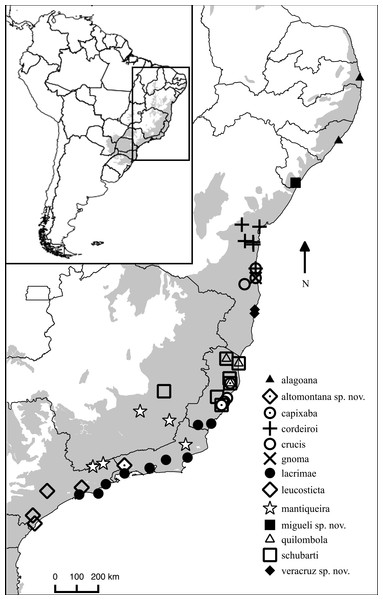 Distribution map of Chiasmocleis species in Atlantic Forest.