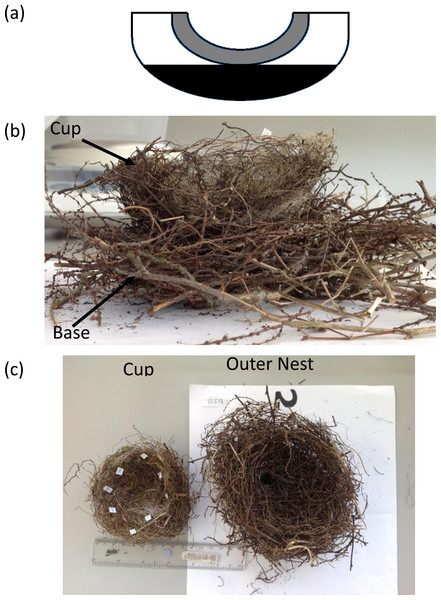 (A) Bullfinch nest deconstruction regions. Grey, Cup wall; White, Outer nest top; Black, Outer nest base. (B) A Bullfinch nest with the upper outer nest removed to reveal the cup in situ and base of the nest. (C) A Bullfinch nest deconstructed into the cup and outer nest components.
