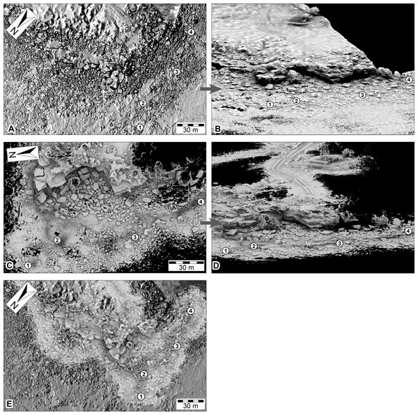 DSMs of the Minyirr dinosaurian tracksite (UQL-DP56) derived from various laser acquisition methods.