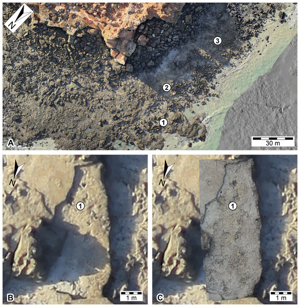 Overlay of different ‘level of detail’ datasets of the Minyir dinosaurian tracksite (UQL-DP56).