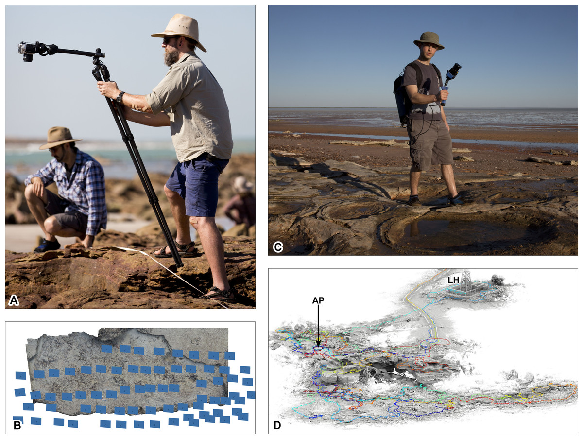 Full article: The Dinosaurian Ichnofauna of the Lower Cretaceous  (Valanginian–Barremian) Broome Sandstone of the Walmadany Area (James Price  Point), Dampier Peninsula, Western Australia