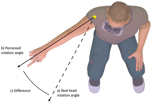 Change in perceived body position (C) was operationalized as the difference between perceived head rotation (B) after movement during altered visual feedback, relative to during movement with normal visual feedback (A).
