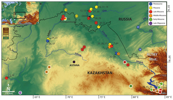 Map of Eurasia (A) showing location of the Western Siberian studied fossil sites (B) (1–38, 58; black—thin outlined circles) as well as localities known from the literature (39–57; white—thick outlined circles).