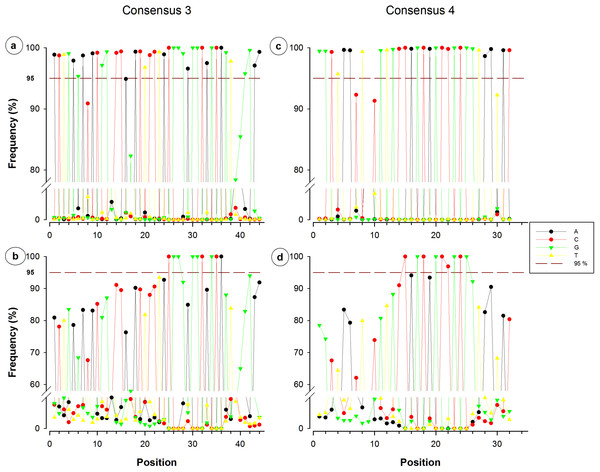 Single nucleotide frequencies for the consensus corresponding to primer contigs 3 and 4.