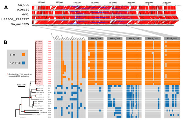 Comparative genomic analysis of S. aureus ST88.