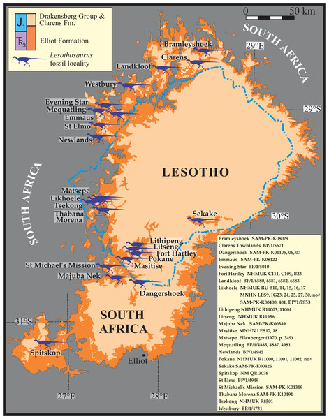 Map of localities for a total of 46 Lesothosaurus diagnosticus and Lesothosaurus cf. diagnosticus specimens in the upper Elliot Formation of Lesotho and South Africa.