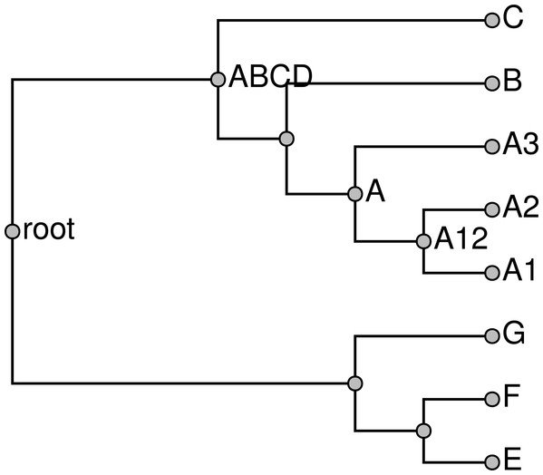 Grafted solution produced from the subproblems from Fig. 9 and which is the backbone onto which taxa that are not included in any phylogeny will be placed.