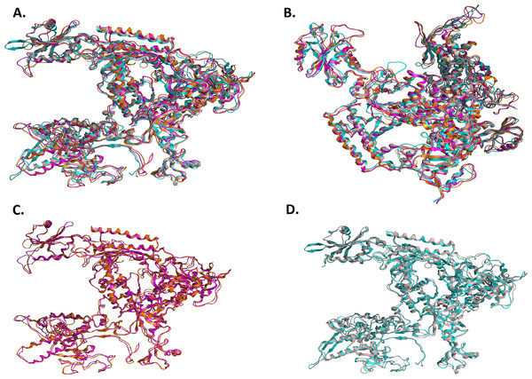 Structural superposition of the TBB DdRPII RPB1 models A and B.