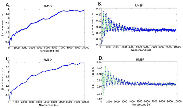 Molecular dynamics simulationcharts for the  Trypanosoma brucei brucei DdRpII RPB1 models.