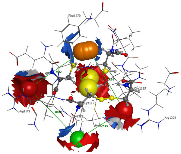 The 3D pharmacophore model for the  Trypanosomabrucei brucei DdRPII RPB1 model.