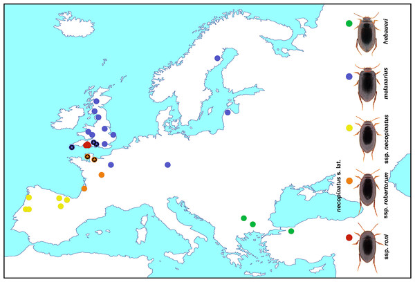 Hydroporus melanarius subgroup taxa, together with localities sampled in this study.
