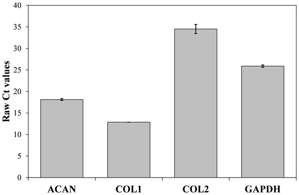 Results of qPCR analysis presented as absolute Ct values of target genes expression (ACAN, COL1, COL2 and GADPH).