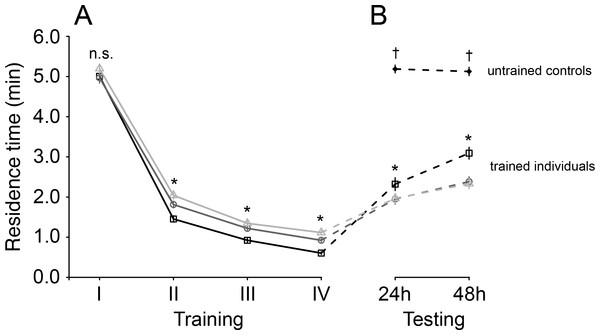 Mean residence time (±SE) of Trissolcus basalis on patches of Nezara viridula chemical footprints (A) over four consecutive training sessions and (B) when subsequently tested to measure spontaneous recovery 24 h or 48 h later and compared to untrained controls.