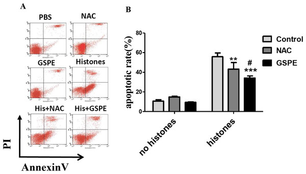 Grape seed proanthocyanidin extract inhibited lymphocyte apoptosis induced by histones.