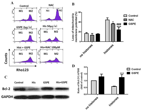 Grape seed proanthocyanidin extract inhibited mitochondrial damage caused by histones.