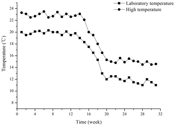 Water temperatures of groups L (laboratory temperature) and H (high temperature) during the experiment from July 8, 2015 to February 1, 2016.