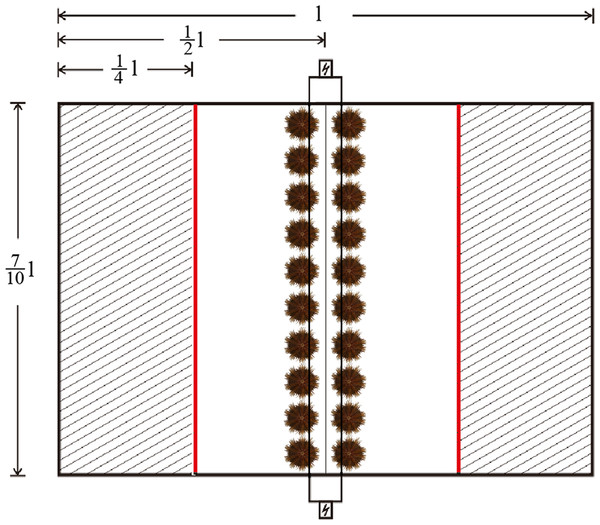 Diagram of the system used for testing sheltering behavior of Strongylocentrotus intermedius.