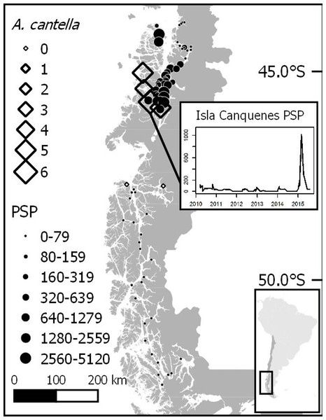 Spatial distribution of PST (STX. Eq./100 g tissue) as measured in mytilids and the relative abundance of Alexandrium catenella between 43°S and 51°S in Mar 2015.
