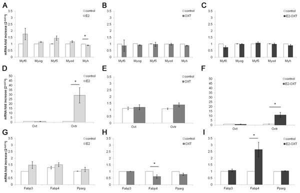 Effect of chronic hormone administration on Oxt, Oxtr, MRFs, Myh, Fabp3, Fabp4 and Pparg gene expression in C2C12 MTs.