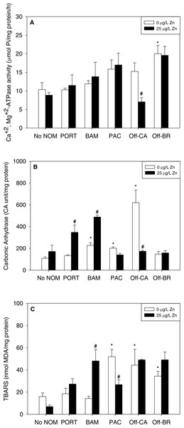 (A) Ca2++Mg2+-ATPase activity, (B) carbonic anhydrase activity, and (C) lipid peroxidation, quantified as TBARS, of M. galloprovincialis larvae exposed to zinc (25 µg/L) for 48 h at the beginning of development.