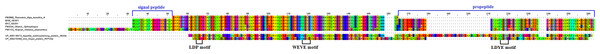 Multiple sequence alignment of vespryn (Thaicobrin) transcripts from the venom gland transcriptomes of NK-M and NK-T in comparison to vespryn sequences of representative venomous snakes.
